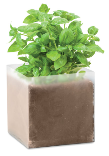 torba z nasionami.PNG