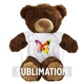 HE332_16_0.jpg