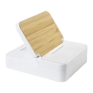 Hobofi Głośnik z ładowarką bezprzewodową RABS