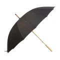 ap808416-10-a_gt0ggu25.png