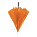 ap721148-03_eper5cyr.png